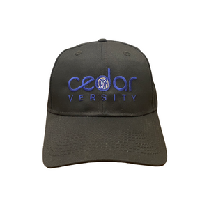 Cedarversity Baseball Hat